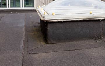 disadvantages of Conisholme flat roofs