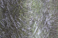 Conisholme fibreglass roof work